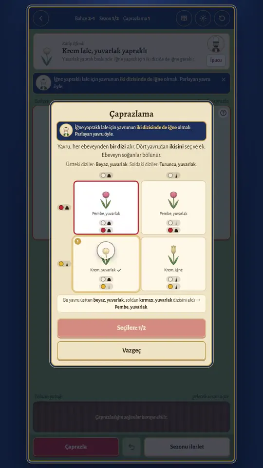 Tulip Era